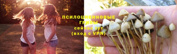 мдма Билибино