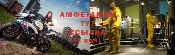 трава Бикин