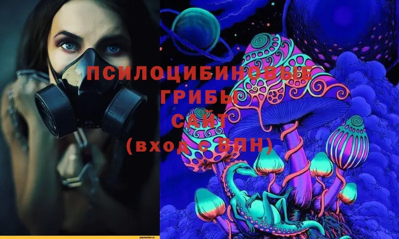 Псилоцибиновые грибы Psilocybe  Семилуки 